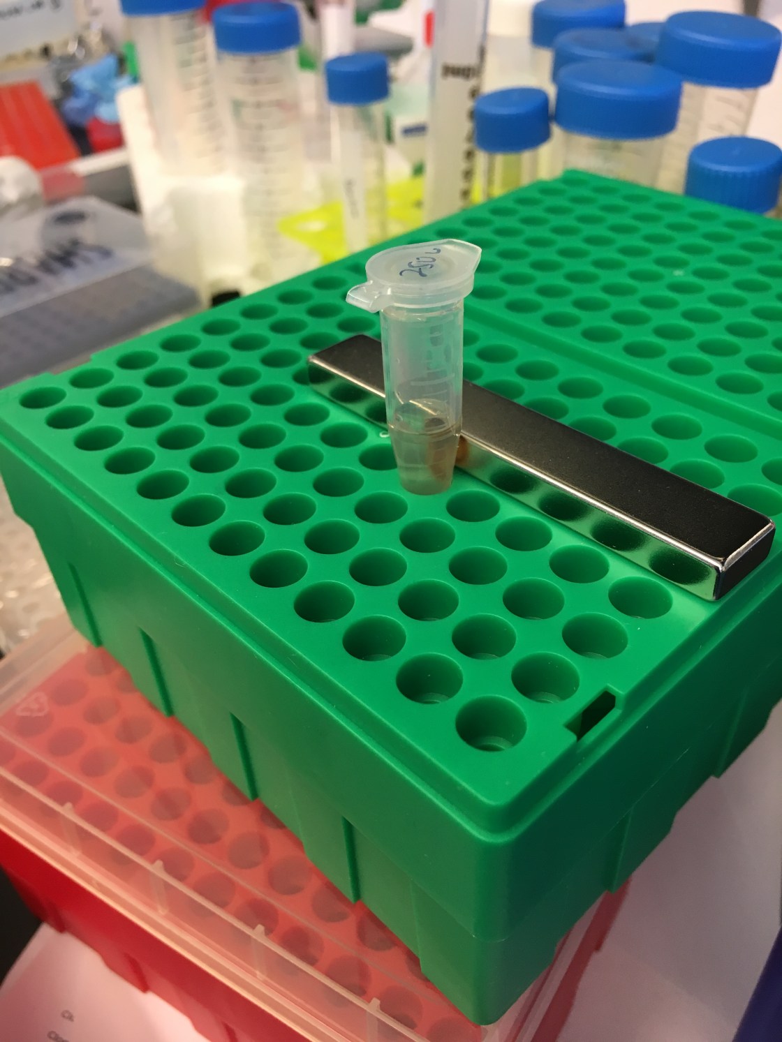 Photo Apr 13, 5 40 40 PM